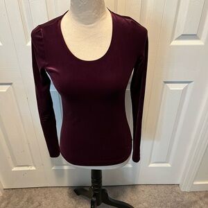 Wilfred from Aritizia size S Elegant Women's Purple Long Sleeve velvet top